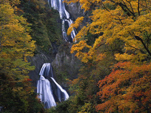 47793 (a): :1600x1200